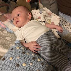 PIC 069